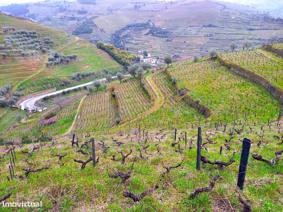Quinta Sra. da Lapa, Douro, Santa Marta de Penaguião
