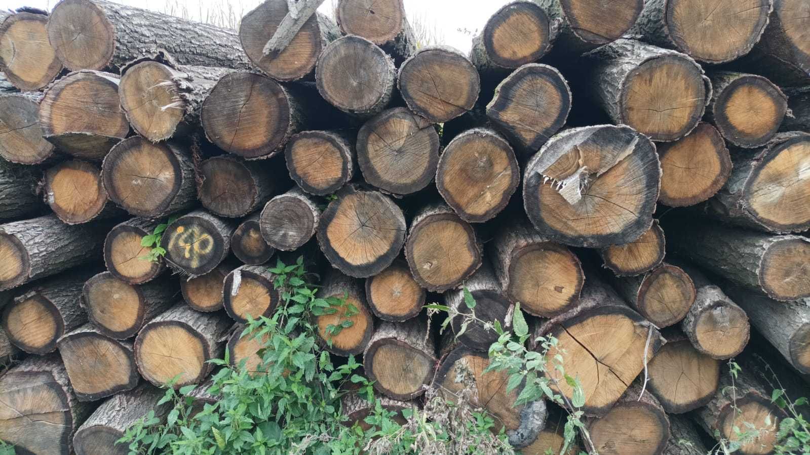 Drewno opałowe i kominkowe