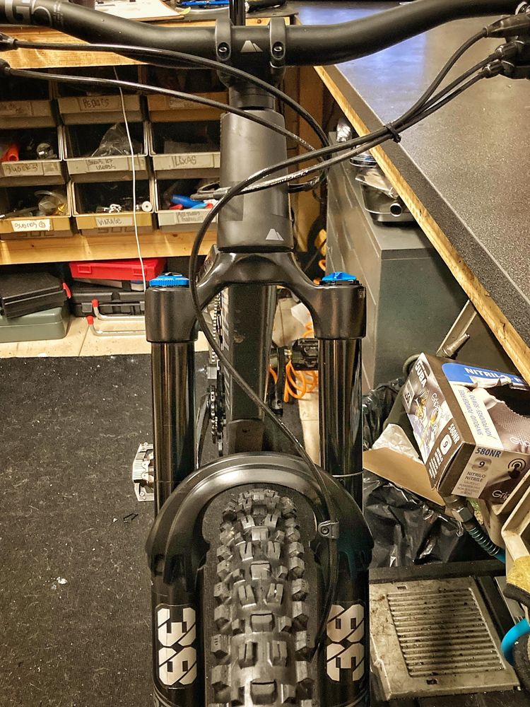 Canyon strive 2024