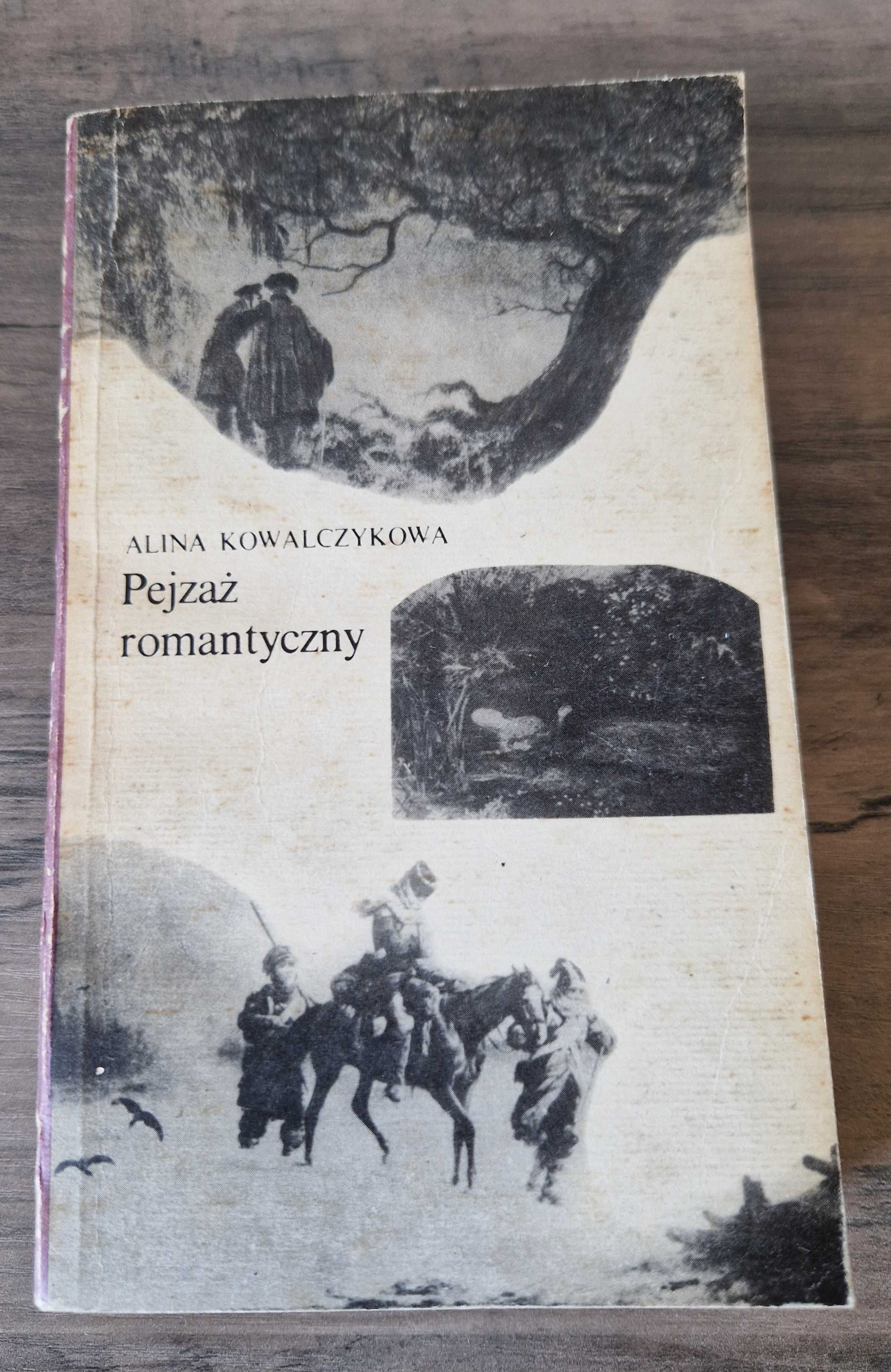 Pejzaż romantyczny Alina Kowalczykowa