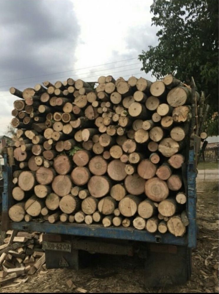 Продам дрова твердих порід