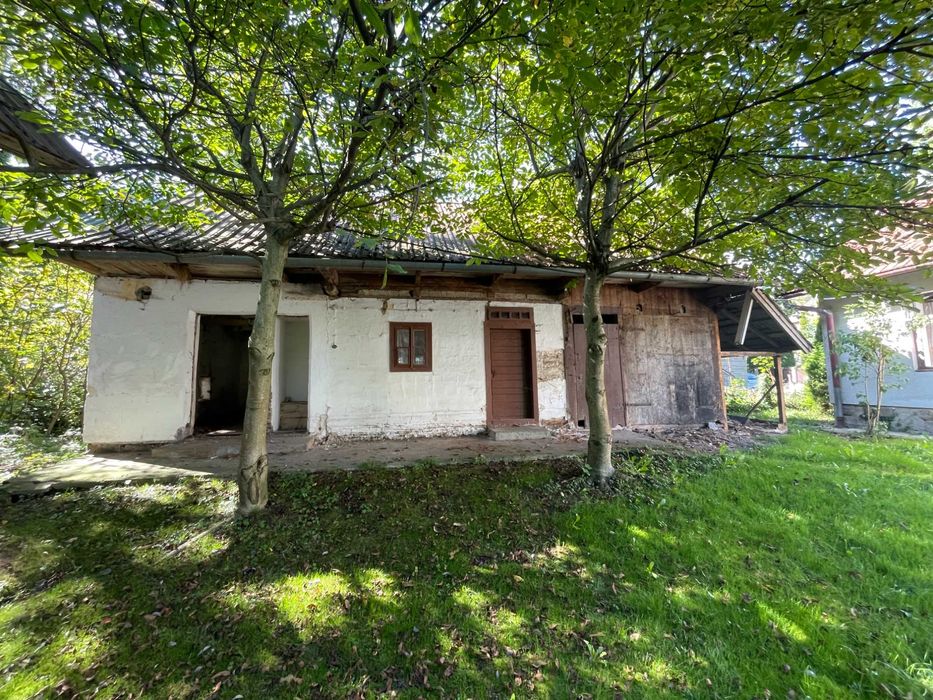 Oddam drzewo za rozbiórkę budynku gospodarczego