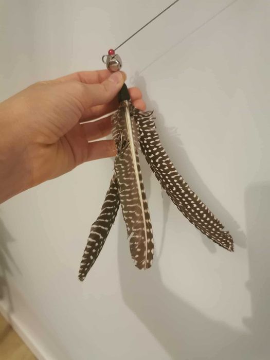 Teleskopowa wędka dla kota z piórkami