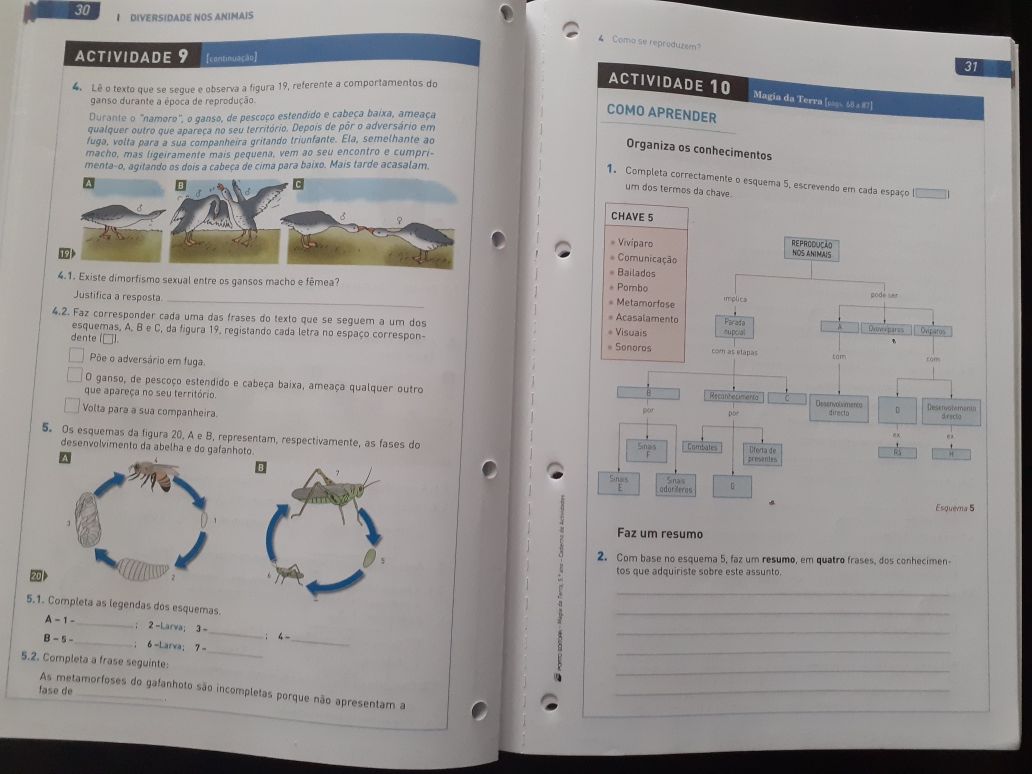 Manual e caderno de atividades Magia da Terra - Ciências 5º ano