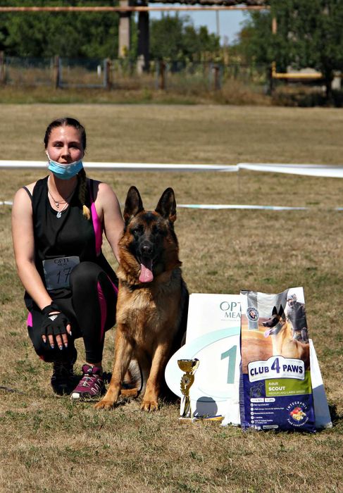 Німецька Вівчарка -  сука, від провірених та тестованих батьків! КСУ
