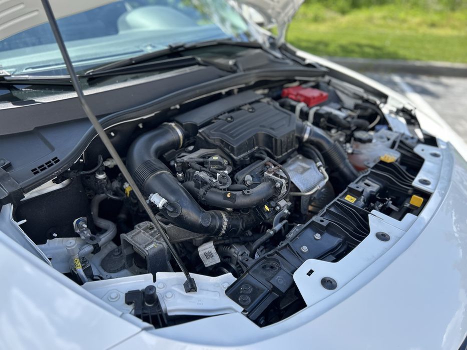 Fiar tipo cross 2022 року