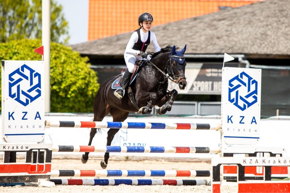 Sprzedam klacz do hodowli