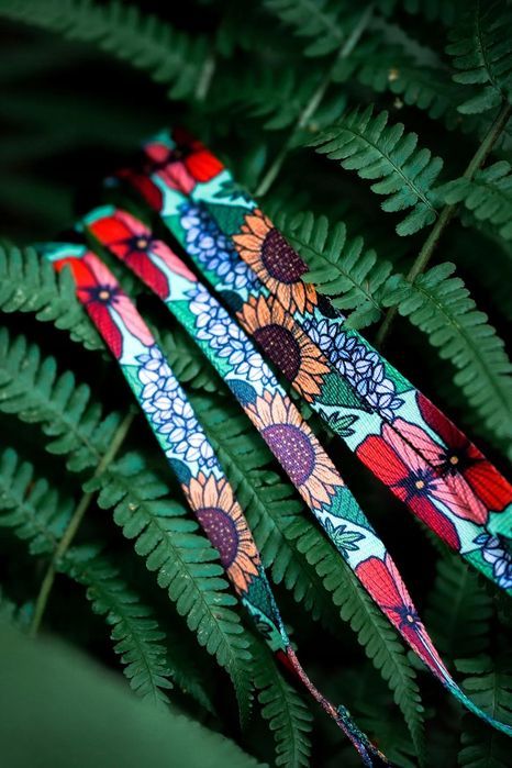 smycz treningowa z regulacją 300 cm dla psa do 20 kg beagle buldog