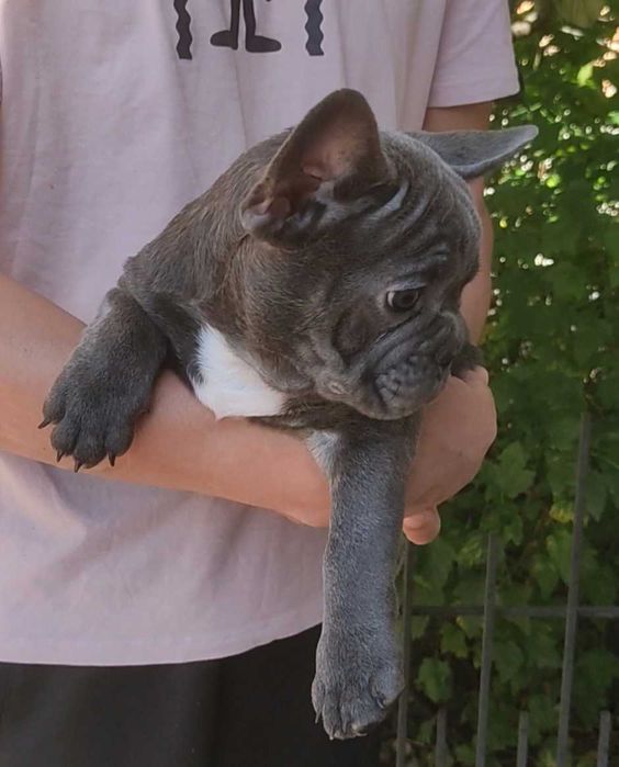 Голубой мальчик 3 месяца