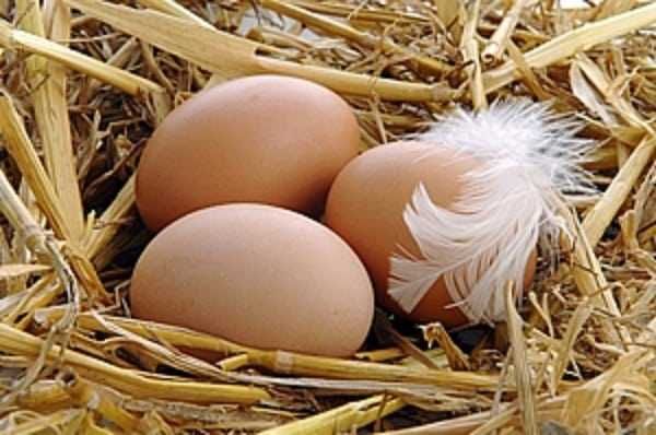 Яйця курині/домашні