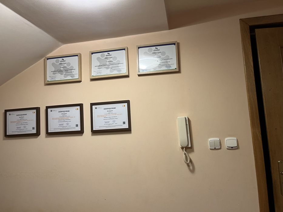 Szkoła j.angielskiego