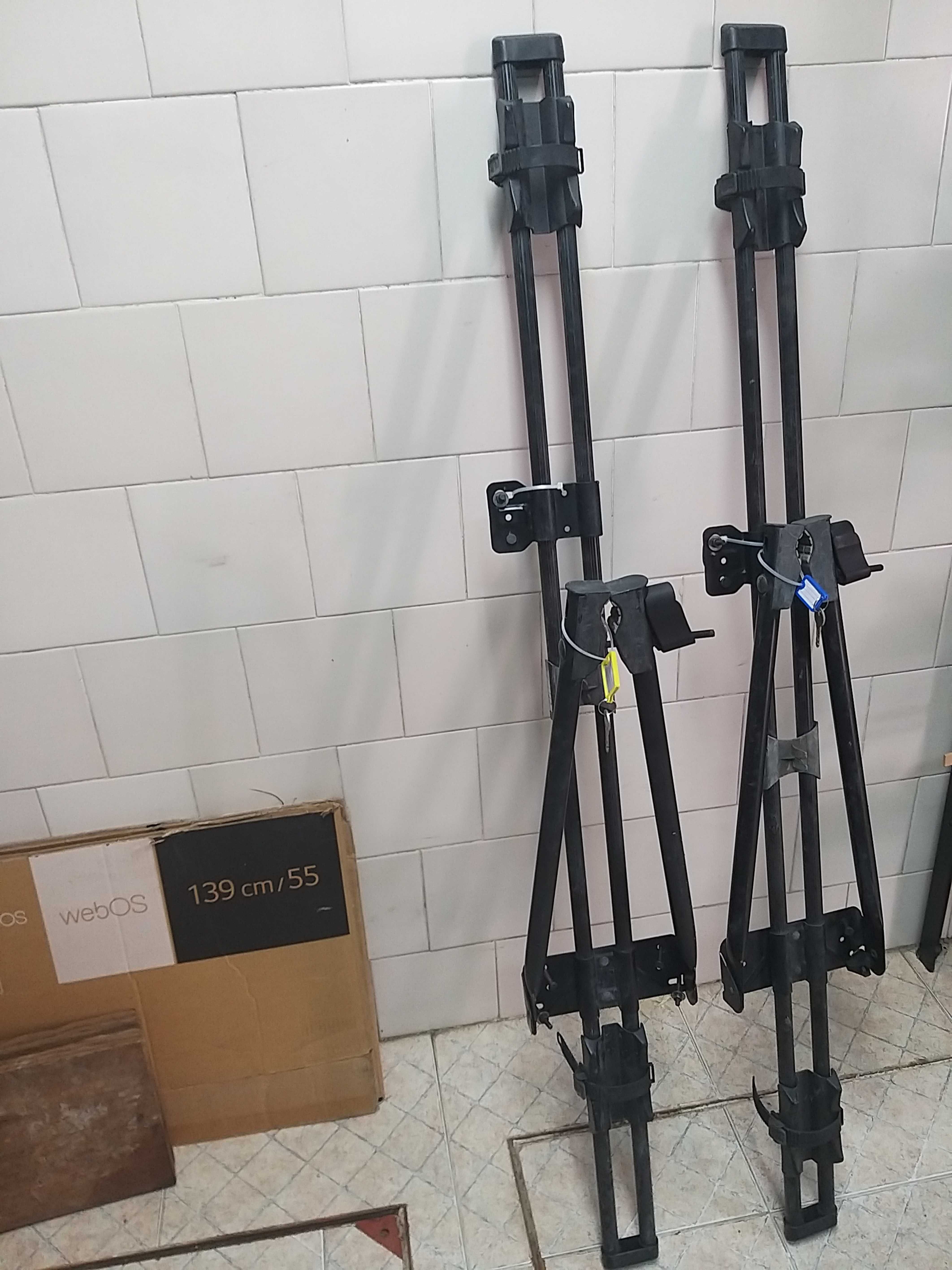 2 Suportes THULE para Bikes Tejadilho do Carro