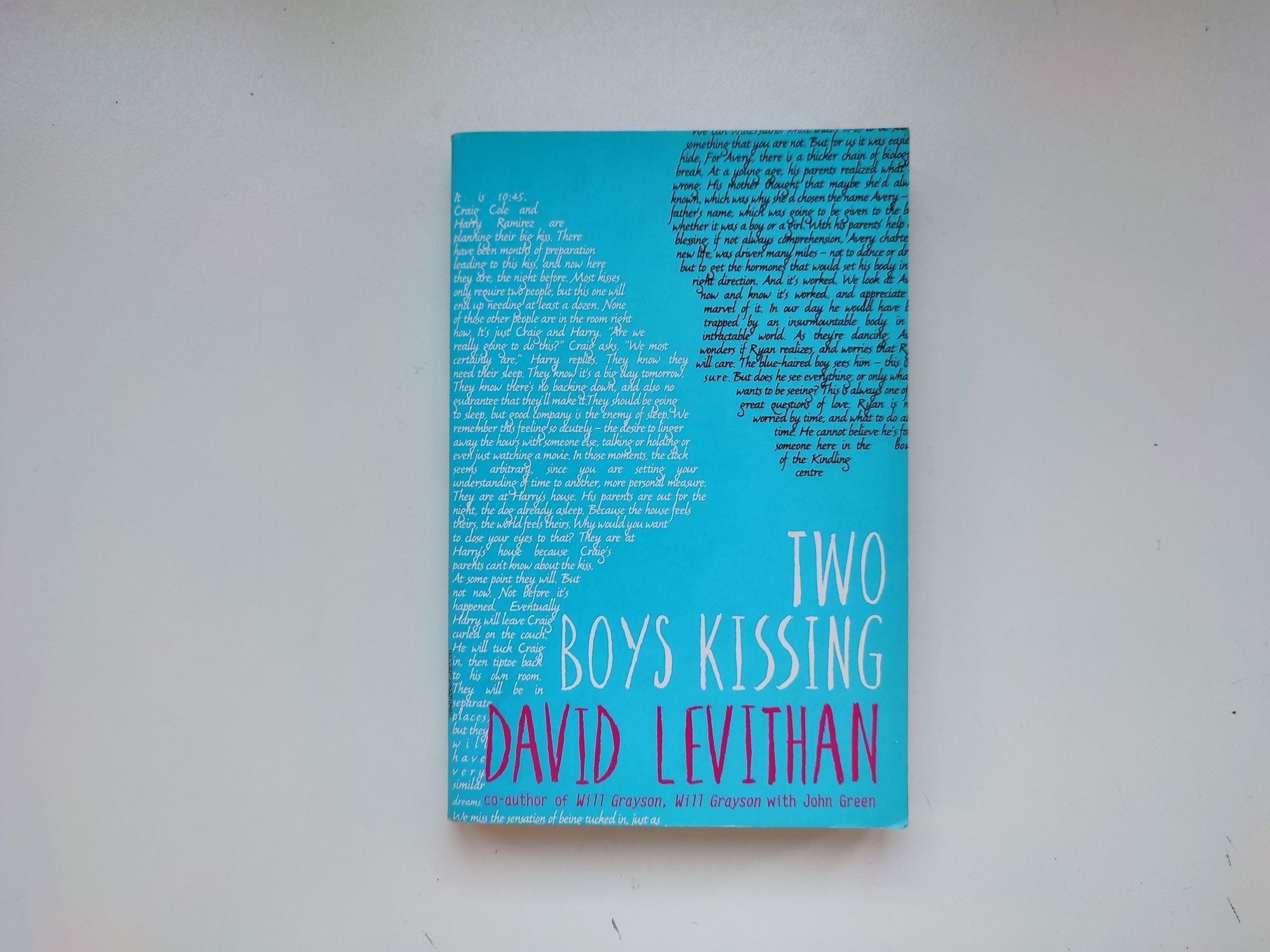 Two Boys Kissing por David Levithan