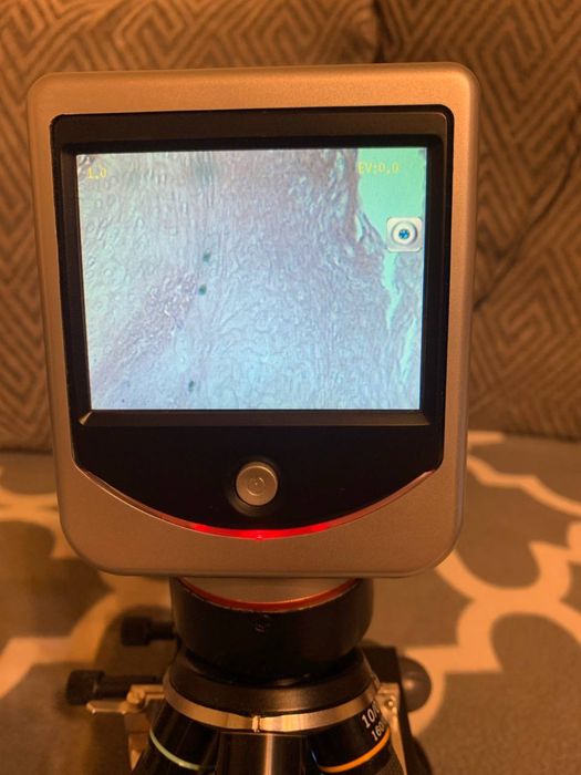 Микроскоп, Celestron, LCD Deluxe Digital Microscope 3.5” screen #44345