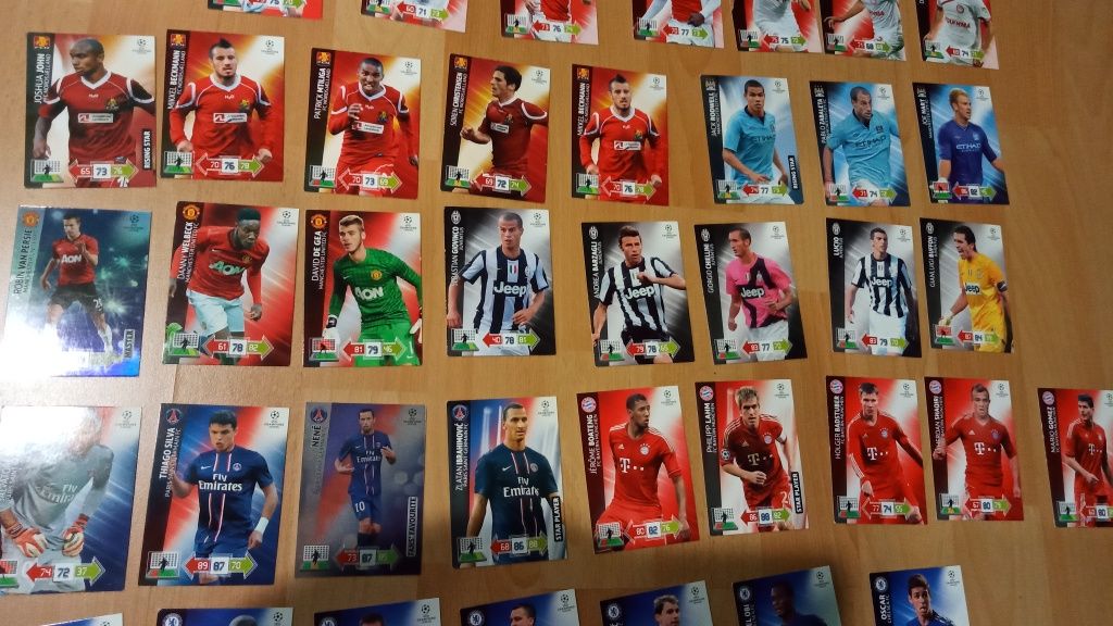 Karty panini sezon 2012/2013