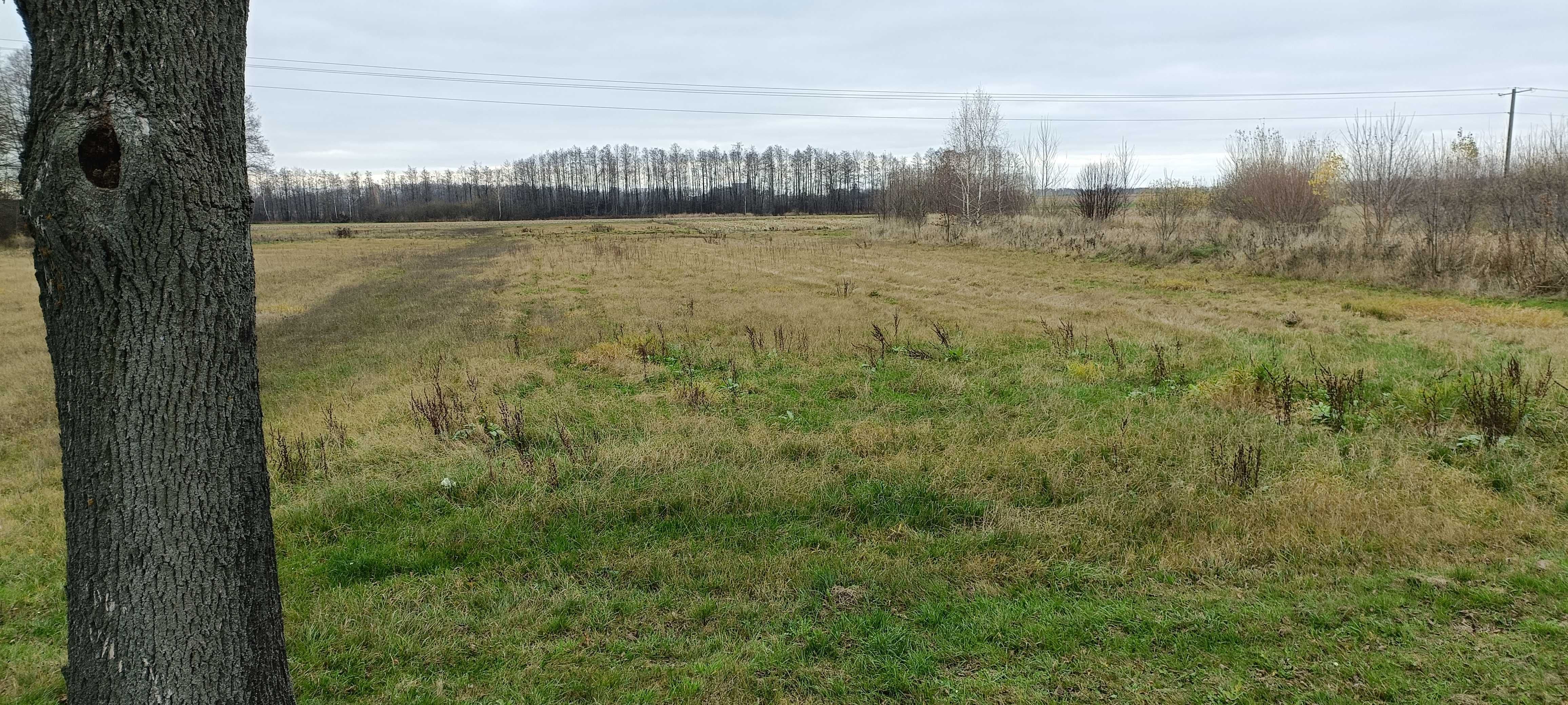 Działka rolno-budowlana z warunkami zabudowy przy A2
