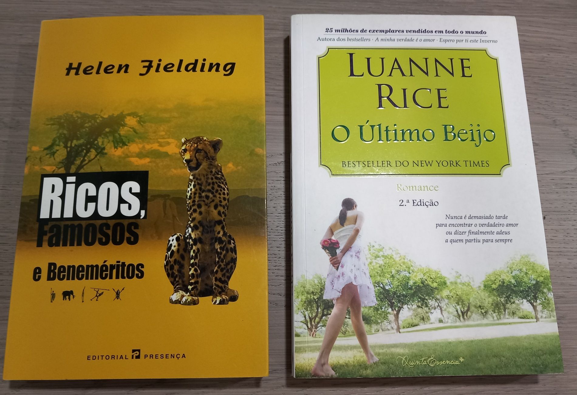 Penny Vincenzi; Helen Fielding; Luanne Rice