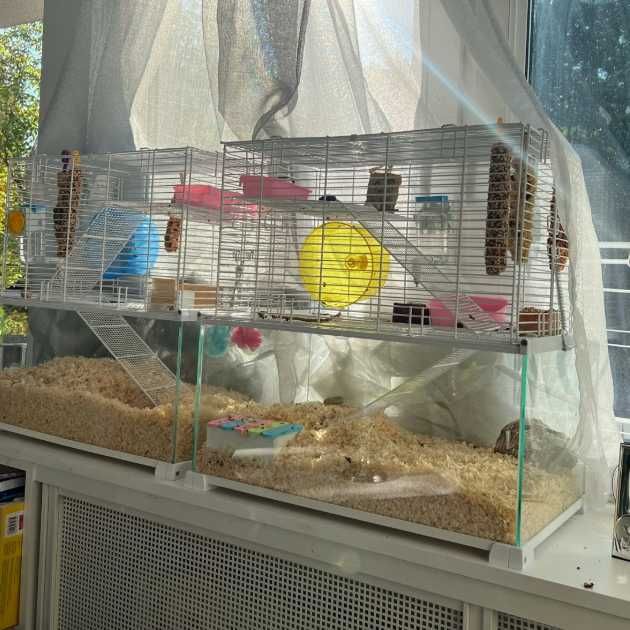 Terrarium NOWA szklana klatka piętrowa dla gryzoni 50x30x50cm