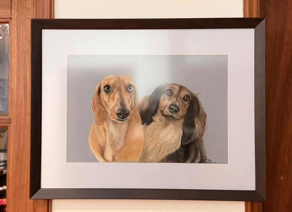 Retrato pet  por encomenda