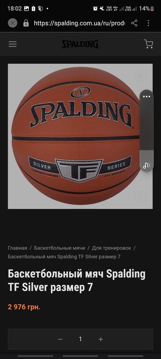 Профессиональный баскетбольный мяч Spalding