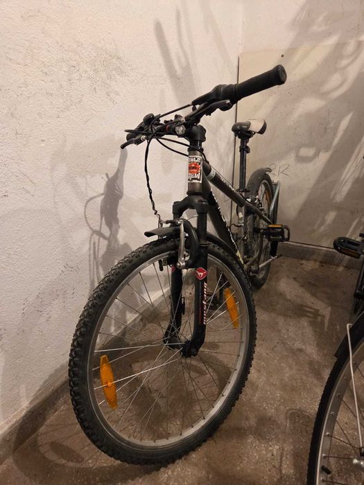 Rower dziecięcy Author Matrix Koła 24