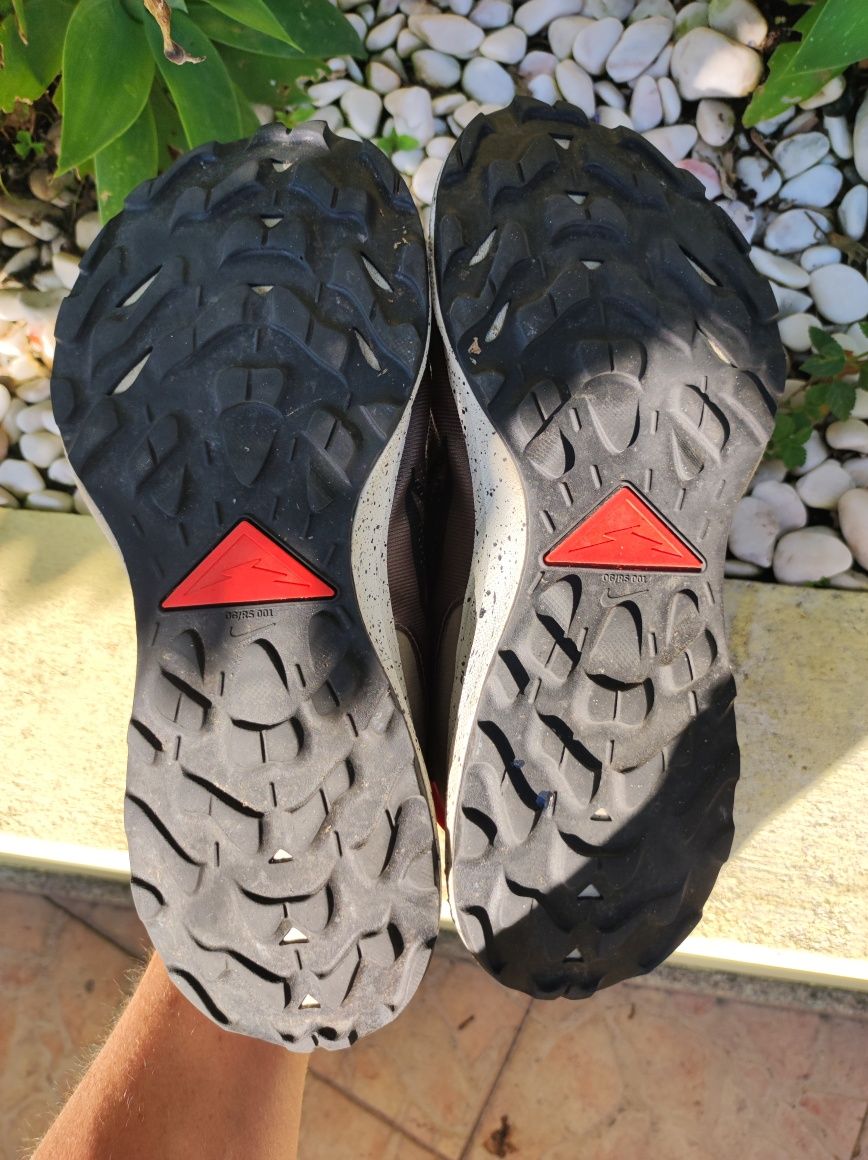 Sapatilhas Nike Pegasus Trail 2