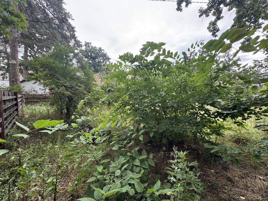 Ділянка 12 соток з комуніаціями в Ірпені, вул. Щаслива