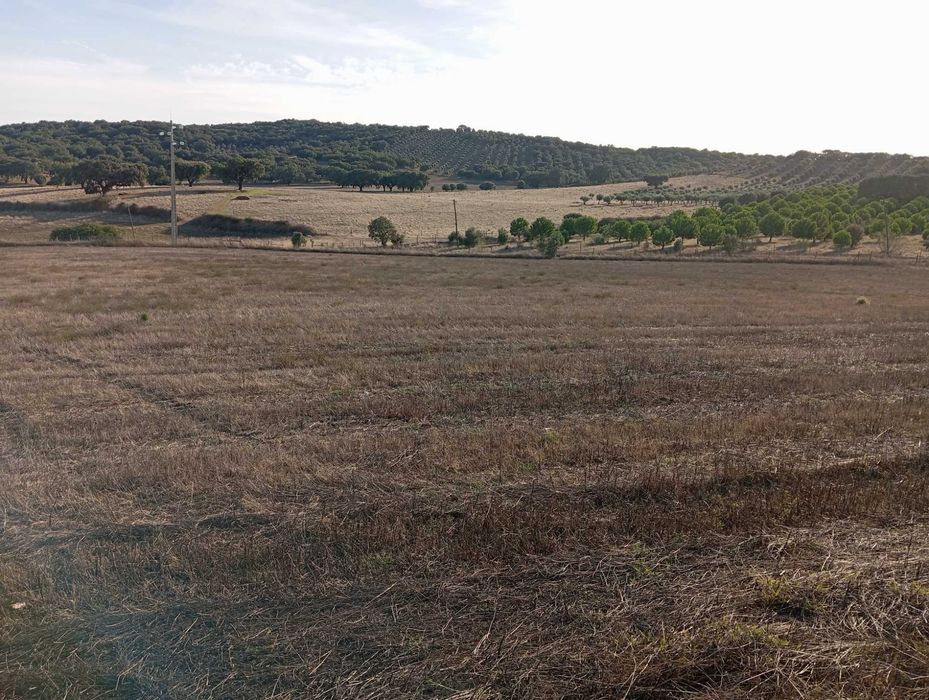 Terreno a 10 km de Estremoz