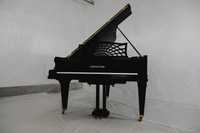 Fortepian Bechstein model B, po generalnym remoncie!