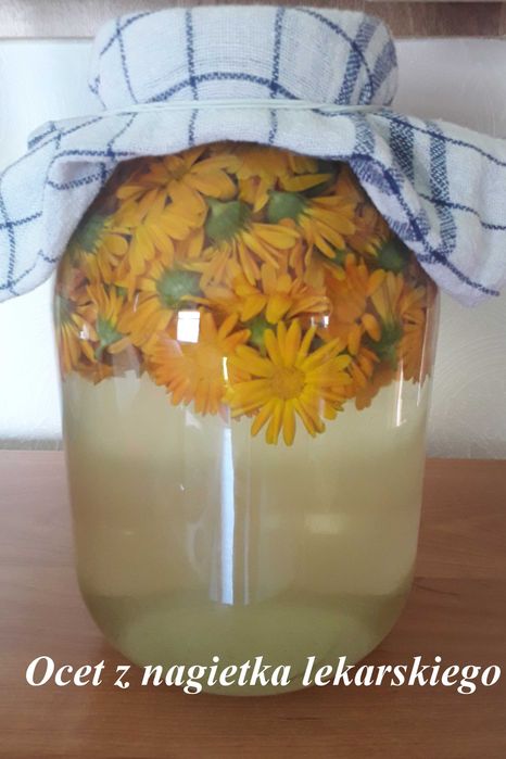 Ocet z nagietka 250ml