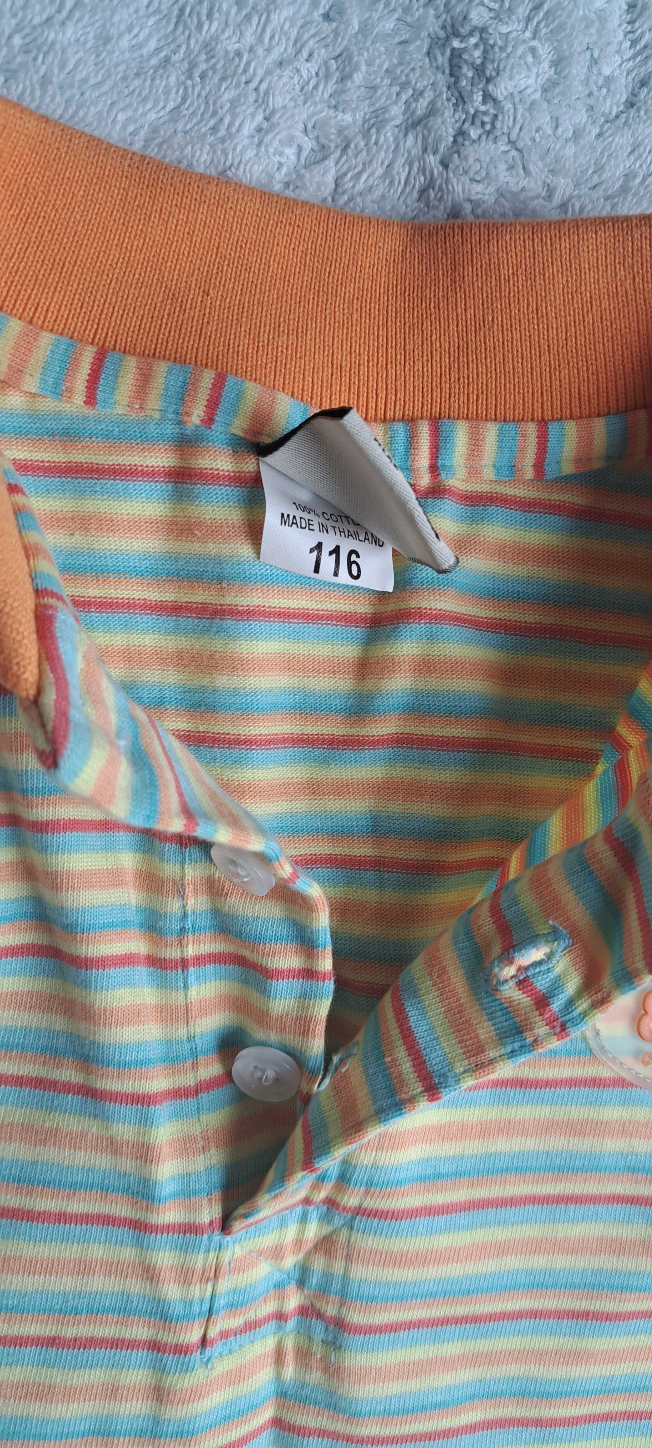 Bluzeczka chłopięca 116 kolorowa polo kołnierzyk nienoszona jak nowa
