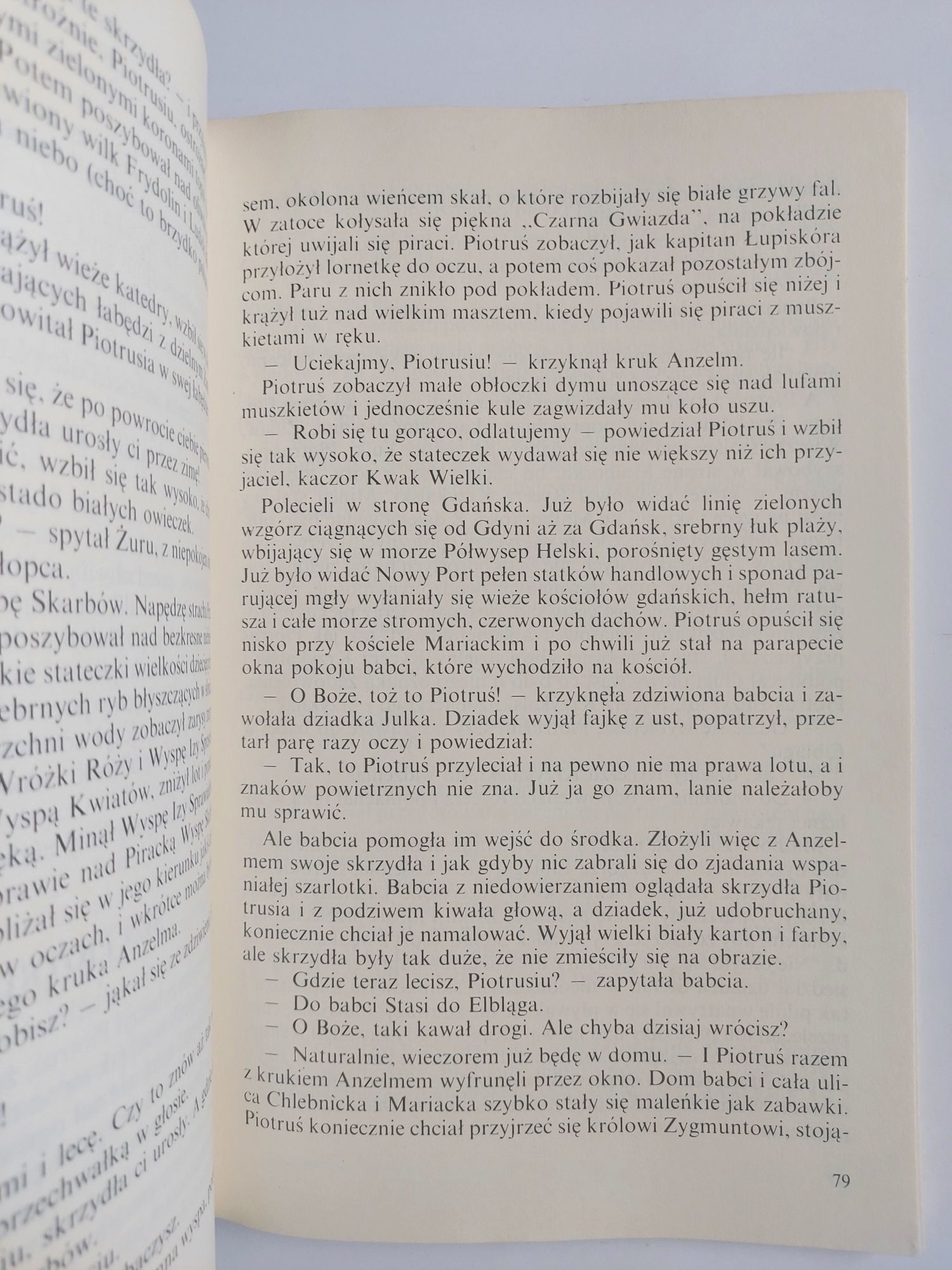 Przygody Piotrusia na pirackiej wyspie skarbów - Zbigniew Szymański