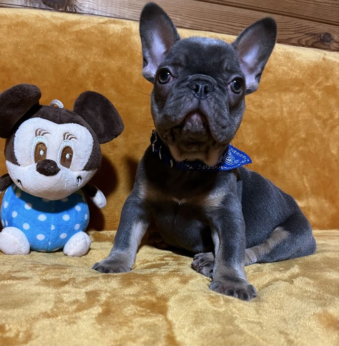 Дуже приваблива  дівчинка!