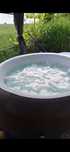 Jacuzzi ogrodowe