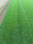 Trawa Z Rolki / PRODUCENT / Transport
