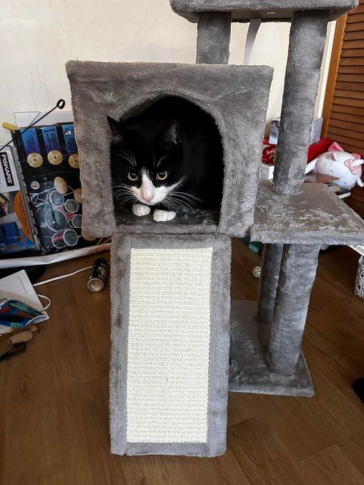Drapak legowisko domek wysoki dla kota słupek do drapania NOWY 118 cm