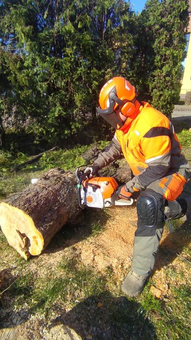 wycinka drzew przycinanie krzewów tui mycie kostki kosznie