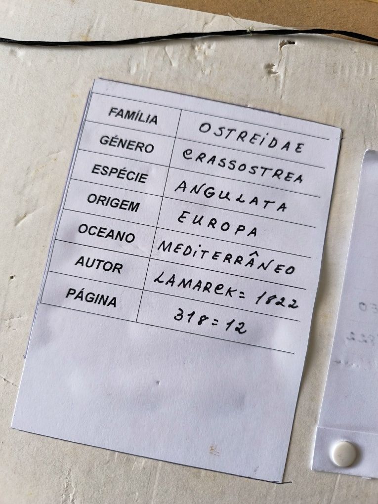 Quadro decorativo