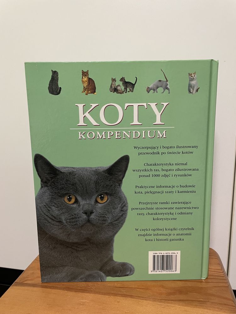 Koty - kompendium