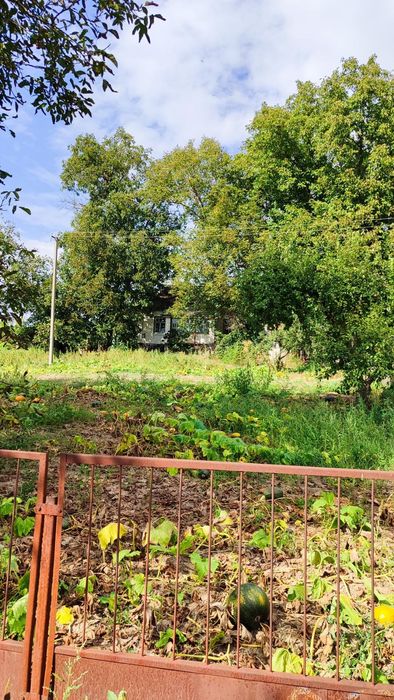 Продам будинок біля ставка