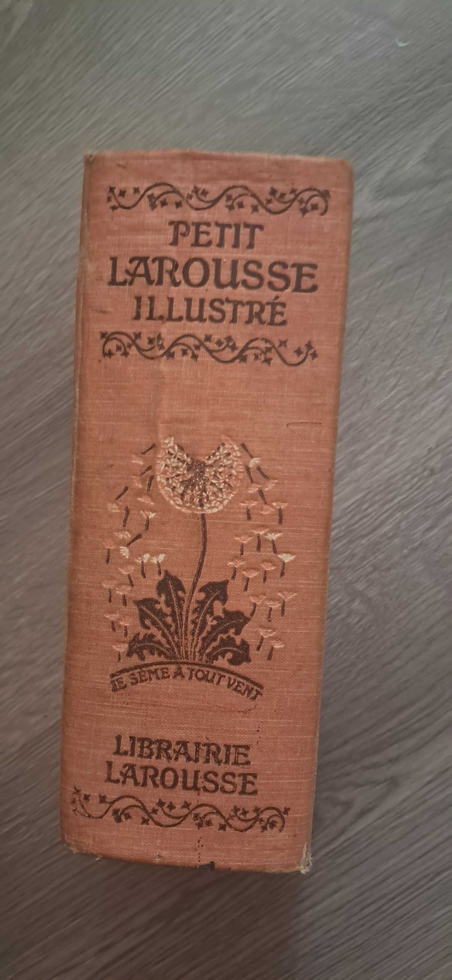Dicionário de francês Petit Larousse Illustré com imagens