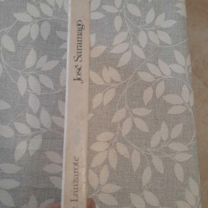 Cadernos de Lanzarote - Diário II de José Saramago