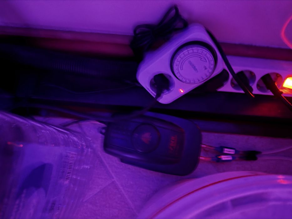 Aquario 2,60m com estrutura e filtros