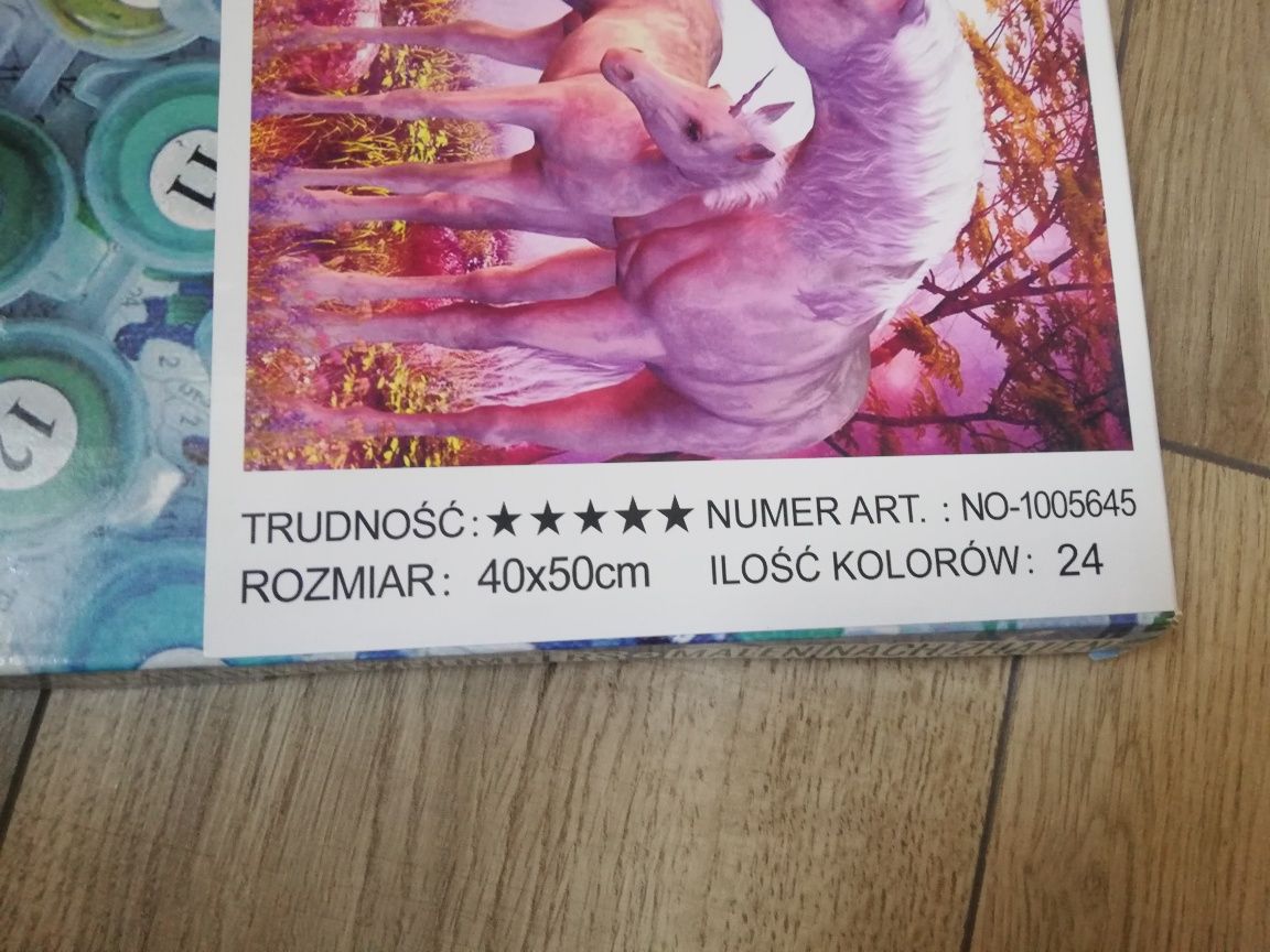 Malowanie po numerach 40x50 zaawansowany