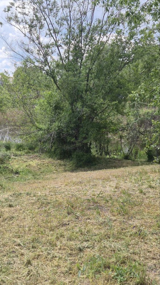 Продам будинок в центрі Підгородного, терміново