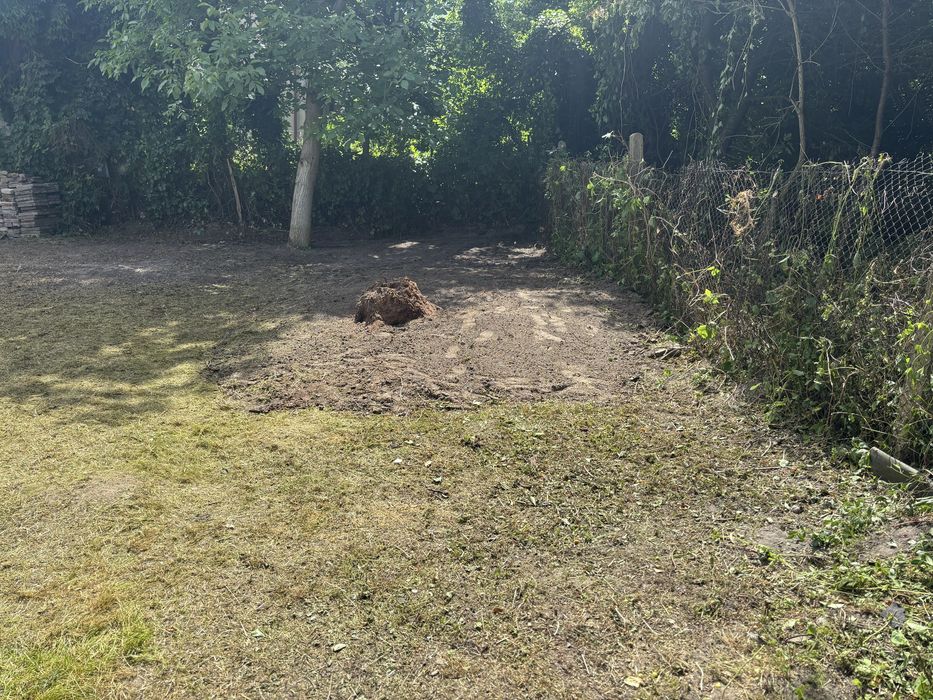 Opróżnianie mieszkań piwnic rozbiórki koszenia pranie tapicerki wywóz