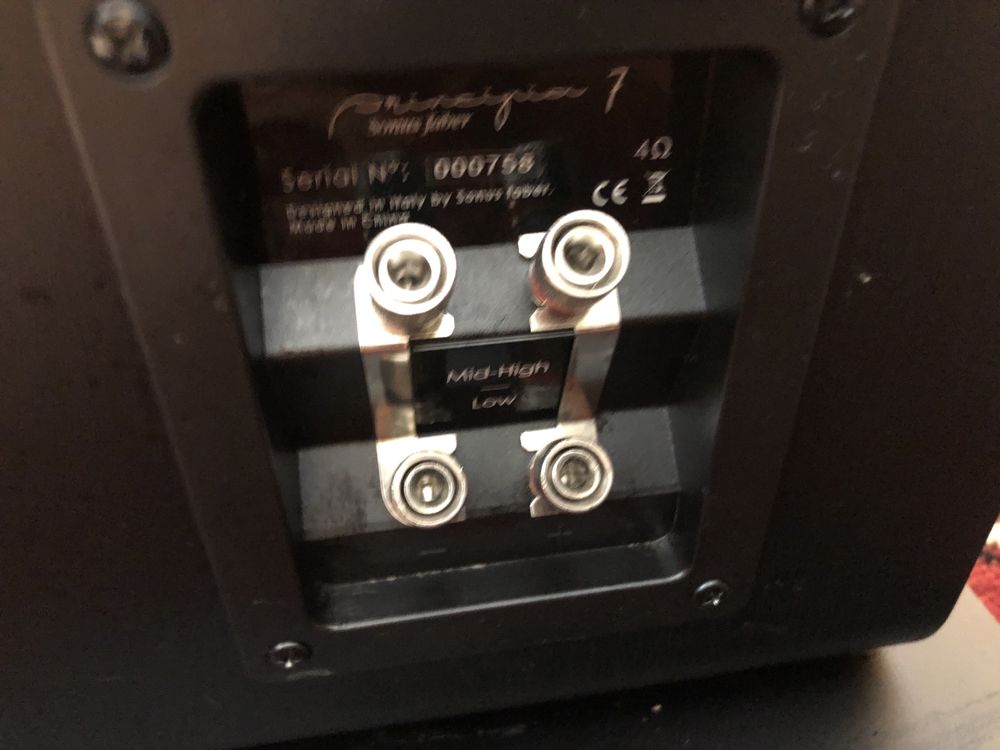 Sonus Faber Principia 7