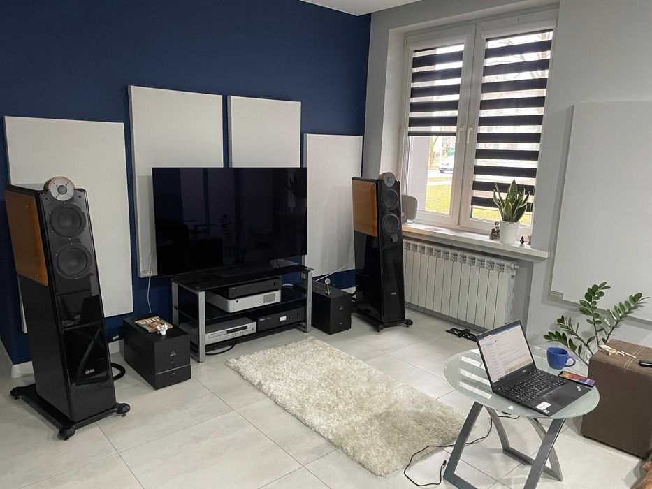 PANELE i EKRANY AKUSTYCZNE - najlepsze, naturalne, pozbędę się resztek