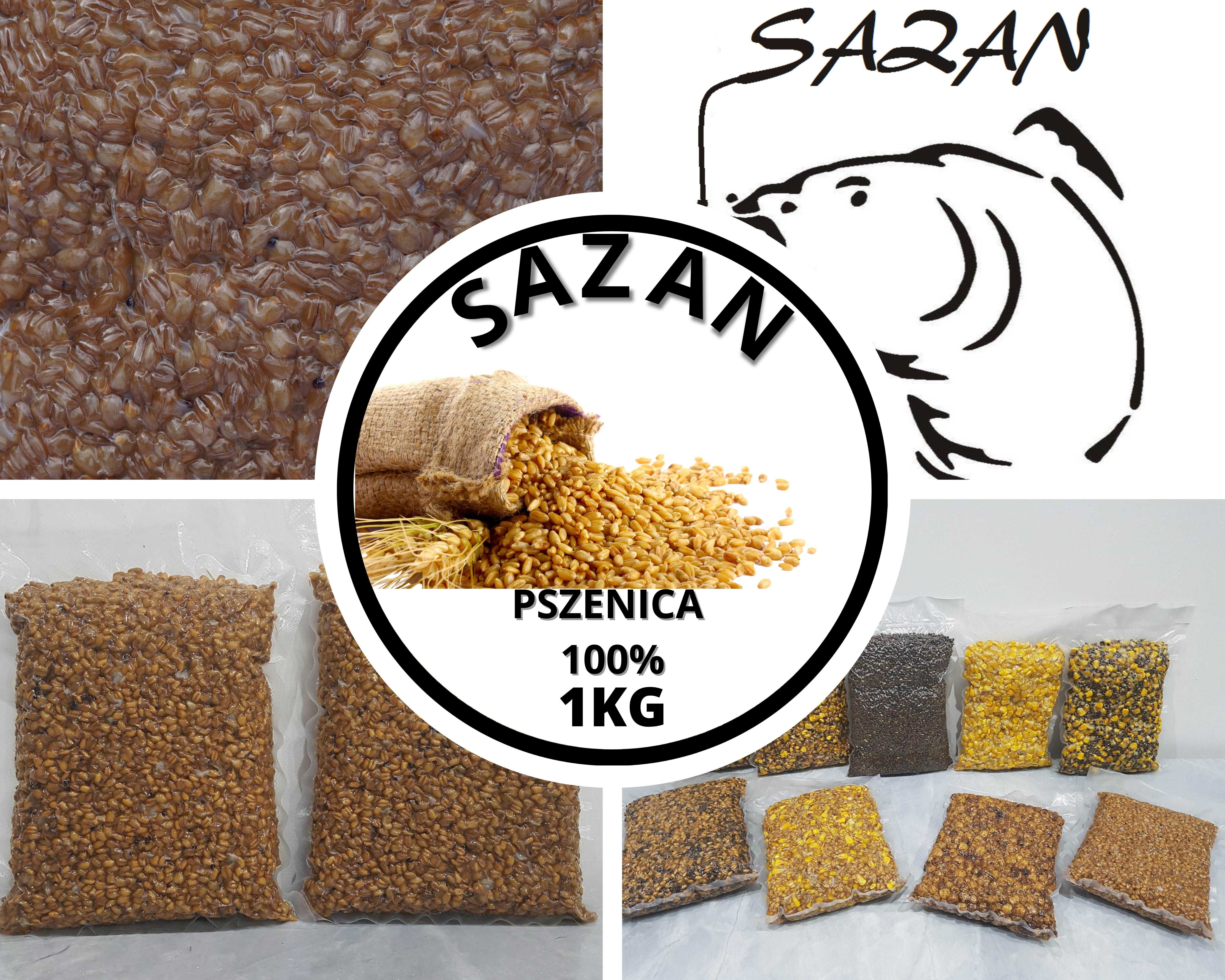 20 kg Pszenica gotowana ZANĘTA WĘDKARSKA Sazan Baits