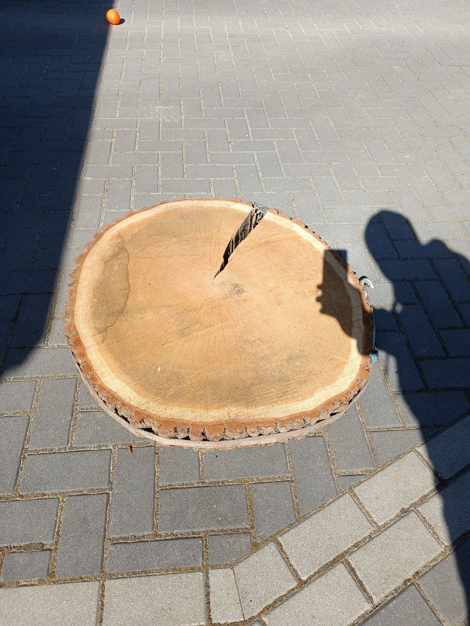 Plaster drewna dębu 90/80cm